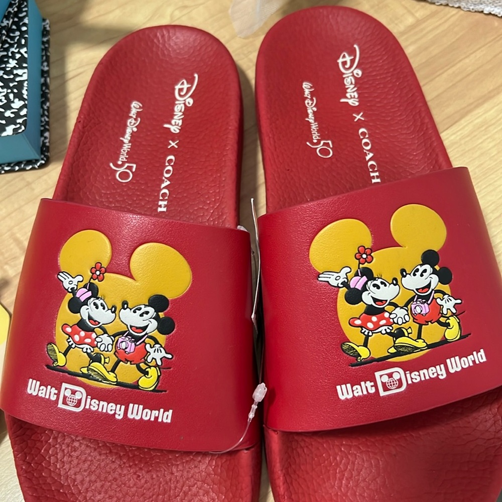 Disney X Coach Sport Slide With Mickey Mouse And Minnie Mouse